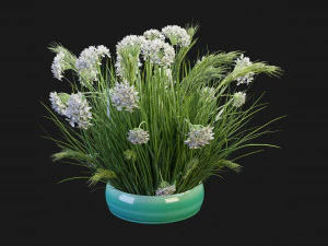Collection Plant Vol 138 - Blender Model 3D Model
