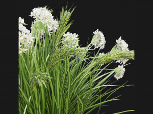 Collection Plant Vol 138 - Blender Model 3D Модель
