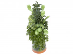 Collection Plant Vol 139 - Blender Model 3D Model