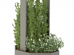 Collection Plant Vol 147 - Blender Model 3D 模型
