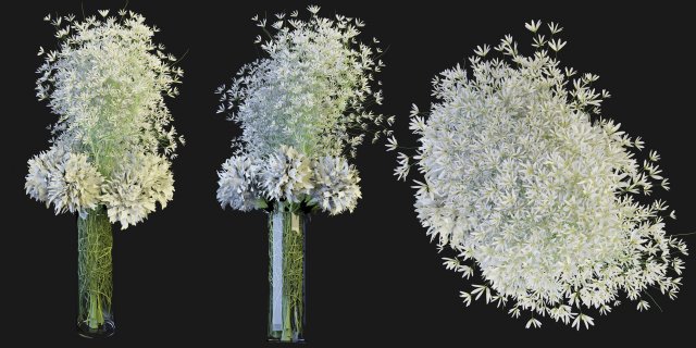 Collection Plant Vol 151 - Blender Model 3D Модель .c4d .max .obj .3ds .fbx .stl .blend 