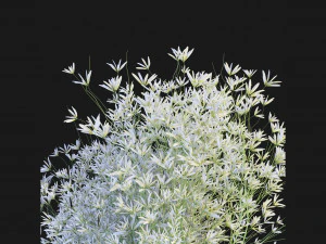 Collection Plant Vol 151 - Blender Model 3D Model