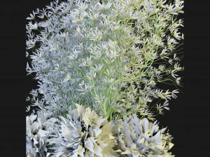 Collection Plant Vol 151 - Blender Model 3D Model