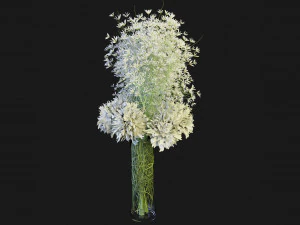 Collection Plant Vol 151 - Blender Model 3D Model