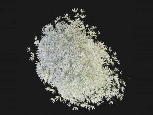 Collection Plant Vol 151 - Blender Model 3D Model