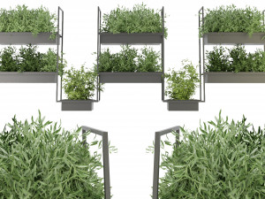 Collection Plant Vol 152 - Blender Model 3D-Modell