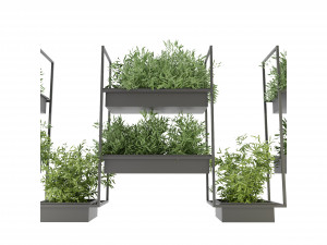 Collection Plant Vol 152 - Blender Model 3D Model