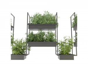 Collection Plant Vol 152 - Blender Model 3D Model