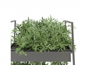 Collection Plant Vol 152 - Blender Model 3D Model