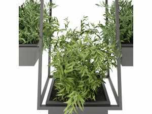 Collection Plant Vol 152 - Blender Model 3D Model