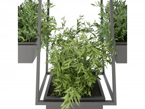 Collection Plant Vol 152 - Blender Model 3D Model