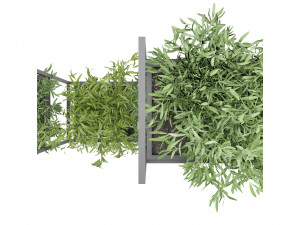Collection Plant Vol 152 - Blender Model 3D Model