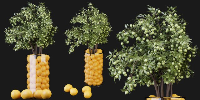 Collection Plant Vol 153 - Blender Model 3D Model .c4d .max .obj .3ds .fbx .stl .blend 