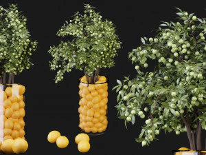 Collection Plant Vol 153 - Blender Model 3D Model