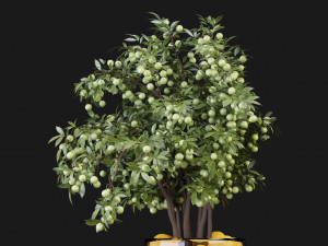 Collection Plant Vol 153 - Blender Model 3D Model
