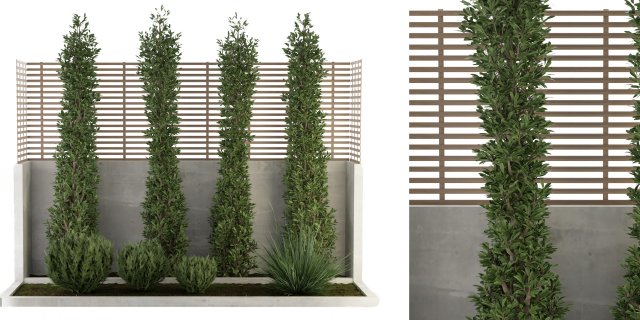 Collection Plant Vol 157 - Blender Model 3D Model .c4d .max .obj .3ds .fbx .stl .blend 