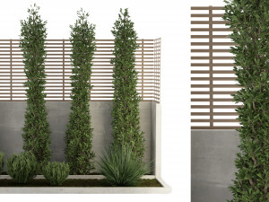Collection Plant Vol 157 - Blender Model 3D Model