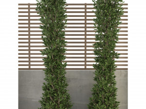 Collection Plant Vol 157 - Blender Model 3D Model
