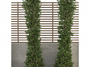 Collection Plant Vol 157 - Blender Model 3D Model