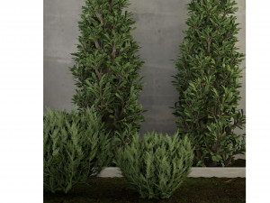 Collection Plant Vol 157 - Blender Model 3D Model