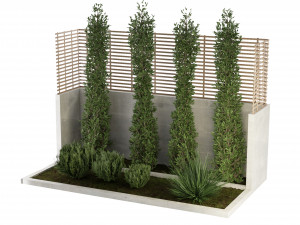 Collection Plant Vol 157 - Blender Model 3D Model