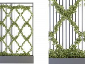 Collection Plant Vol 158 - Blender Model Modello 3D