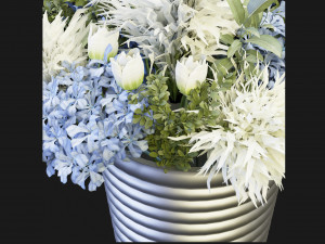 Collection Plant Vol 162 - Blender Model Modelo 3D