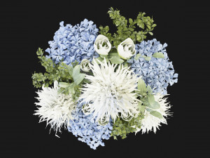 Collection Plant Vol 162 - Blender Model Modelo 3D