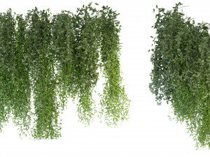 Collection Plant Vol 165 - Blender Model 3D Model