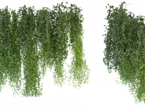 Cole&ccedil;&atilde;o Plant Vol 165 - Modelo Blender Modelo 3D