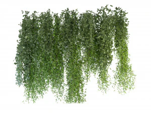 Collection Plant Vol 165 - Blender Model 3D Model