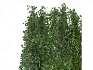 Collection Plant Vol 165 - Blender Model 3D Model