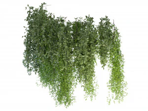 Collection Plant Vol 165 - Blender Model 3D Model