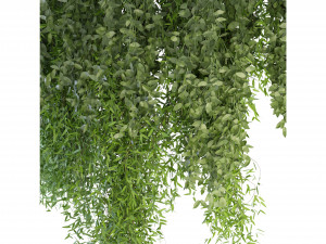 Collection Plant Vol 165 - Blender Model 3D मॉडल