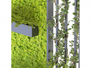 Collection Plant Vol 166 - Blender Model 3Dモデル