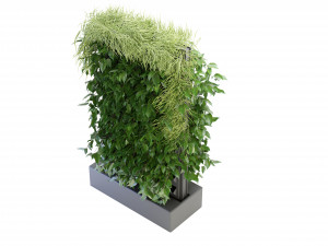 Collection Plant Vol 168 - Blender Model Modelo 3D