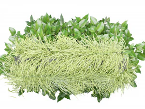Collection Plant Vol 168 - Blender Model 3D Model