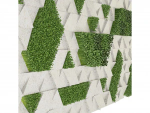Collection Plant Vol 170 - Blender Model 3D Model