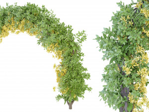 Collection Plant Vol 171 - Blender Model 3D Model