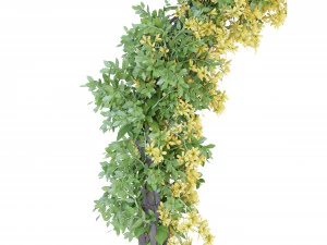 Collection Plant Vol 171 - Blender Model 3D Model
