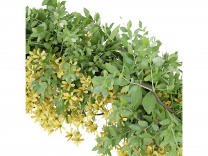 Collection Plant Vol 171 - Blender Model Modelo 3D