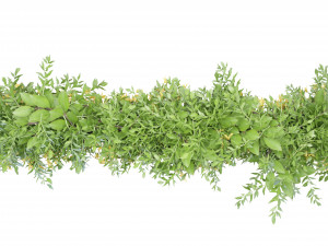 Collection Plant Vol 171 - Blender Model Modelo 3D