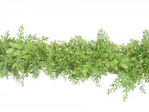 Collection Plant Vol 171 - Blender Model 3D Model
