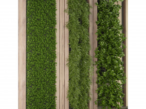 Collection Plant Vol 172 - Blender Model 3D मॉडल
