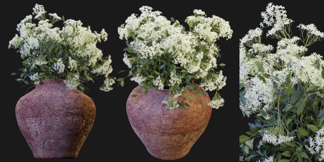 Collection Plant Vol 175 - Blender Model 3D Model .c4d .max .obj .3ds .fbx .stl .blend 