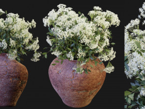 Collection Plant Vol 175 - Blender Model 3D-Modell