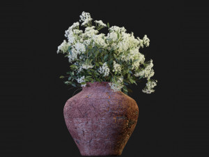 Collection Plant Vol 175 - Blender Model 3D Model