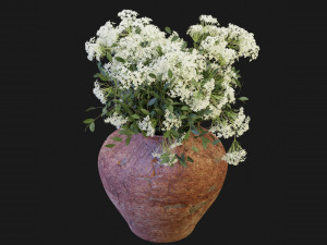 Collection Plant Vol 175 - Blender Model 3D Model