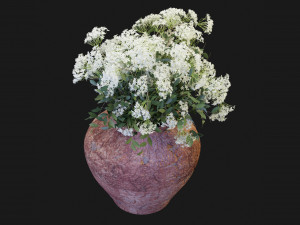 Collection Plant Vol 175 - Blender Model 3D Model