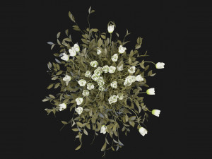 Collection Plant Vol 186 - Blender Model 3D मॉडल